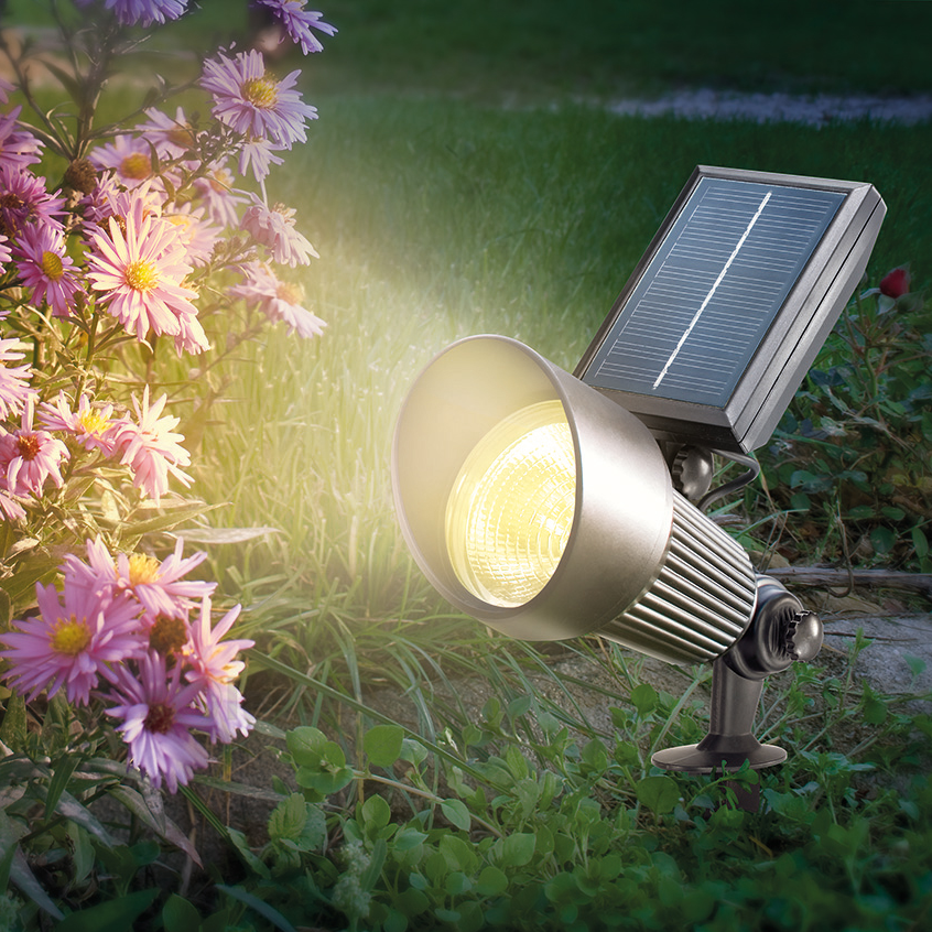 Solar Spotlight