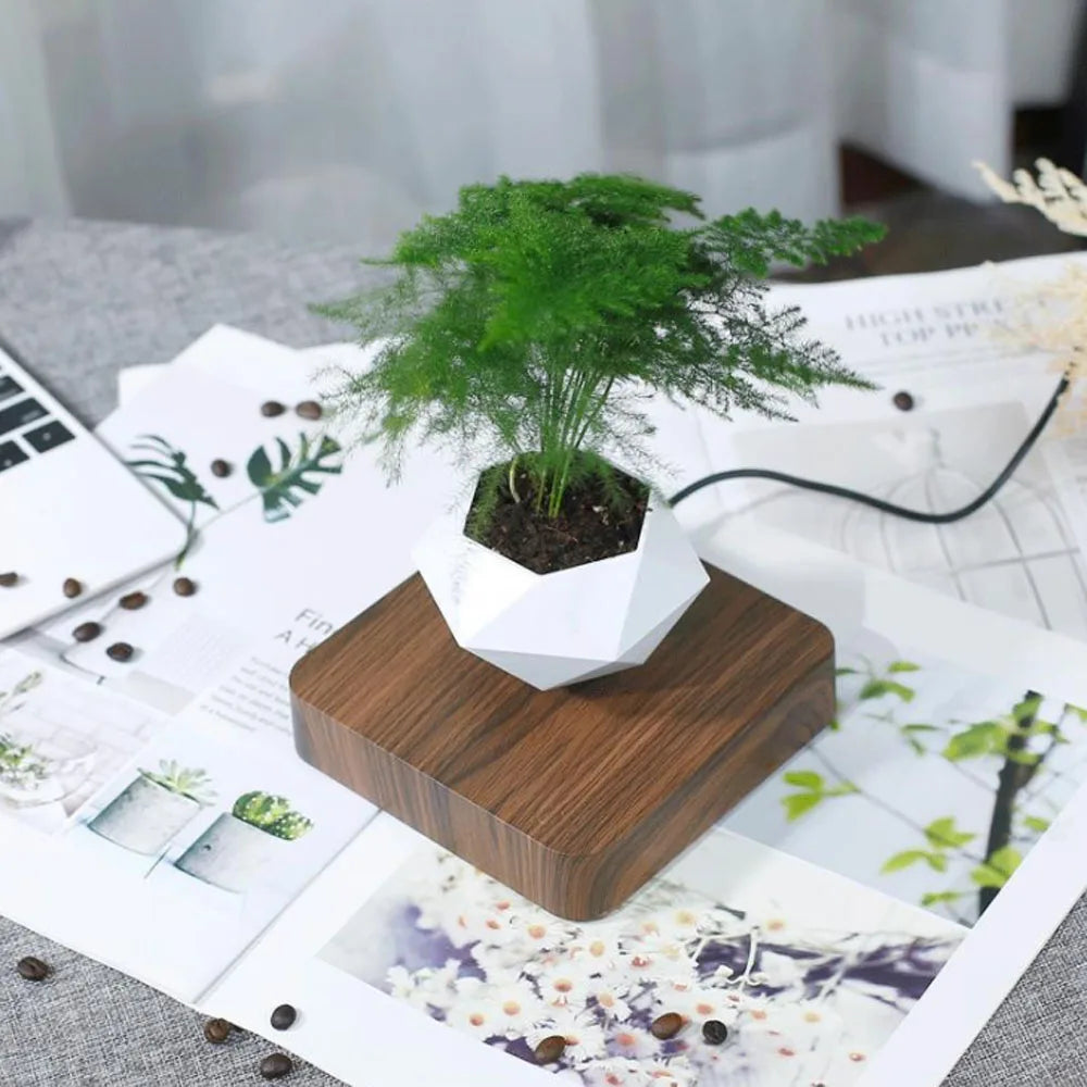 Floating Air Bonsai Pot