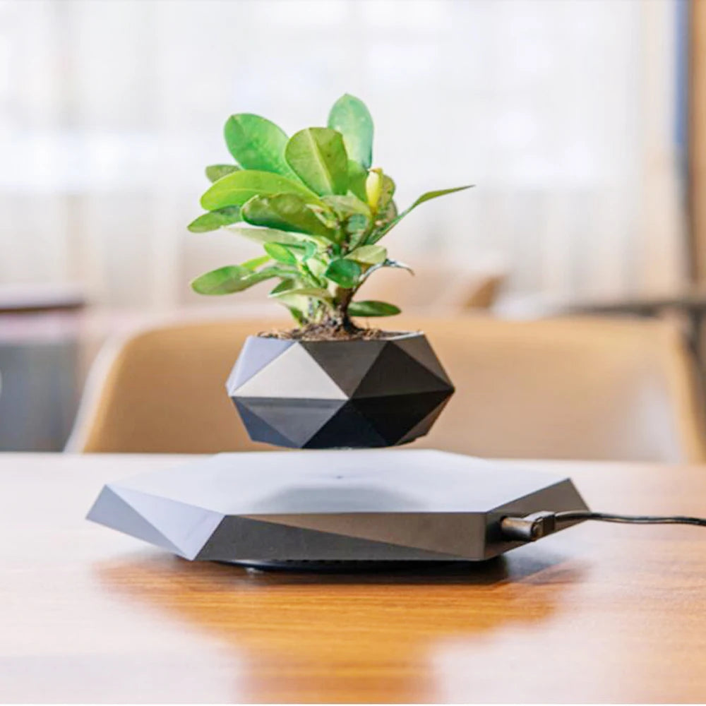 Floating Air Bonsai Pot